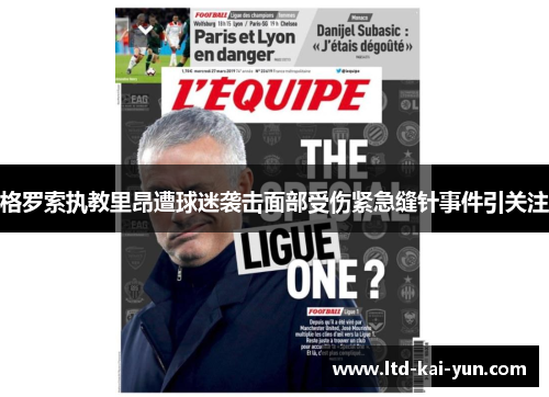 格罗索执教里昂遭球迷袭击面部受伤紧急缝针事件引关注 格罗索执教里昂遭球迷袭击面部受伤紧急缝针事件引关注